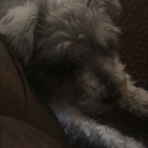 Meet your Posher, Debbi